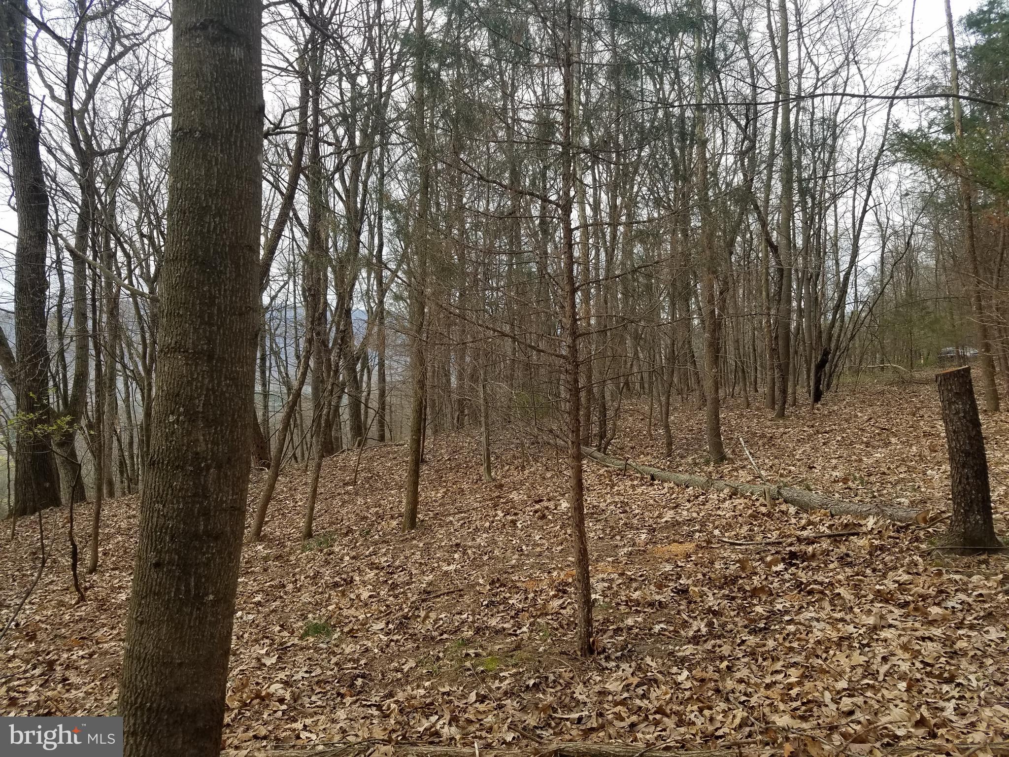 27 Anderson Ridge Wardensville, WV 26851 - Photo 4 of 21