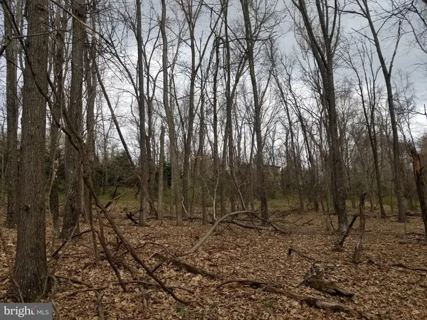 $14,800 | 27 Anderson Ridge, Wardensville, WV 26851