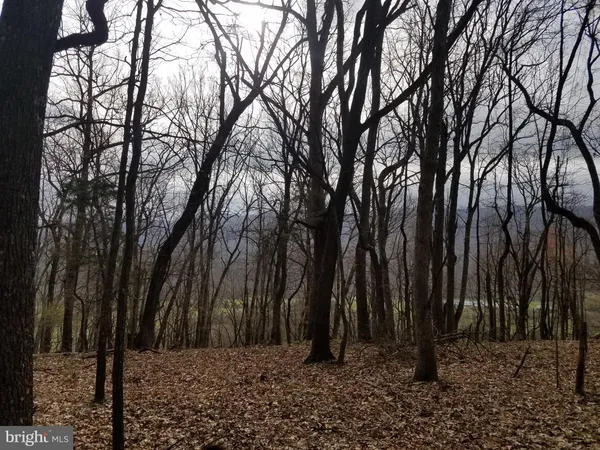 $14,800 | 27 Anderson Ridge, Wardensville, WV 26851