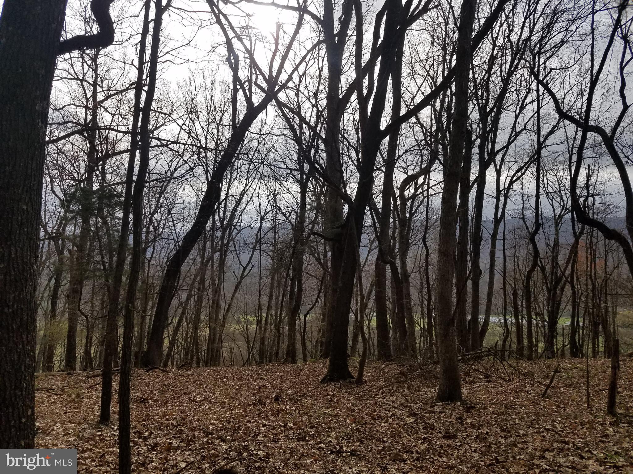 27 Anderson Ridge Wardensville, WV 26851 - Photo 7 of 21