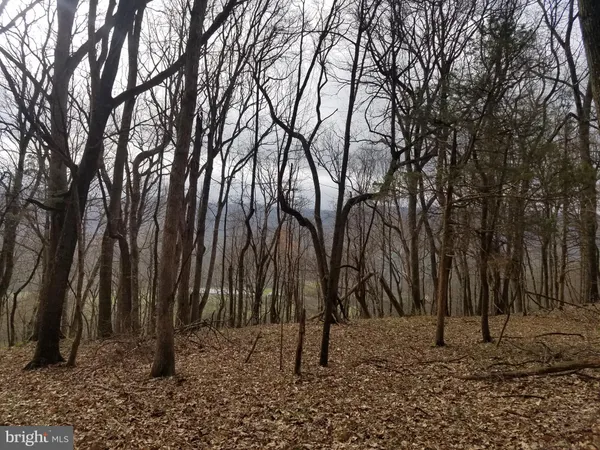 $14,800 | 27 Anderson Ridge, Wardensville, WV 26851