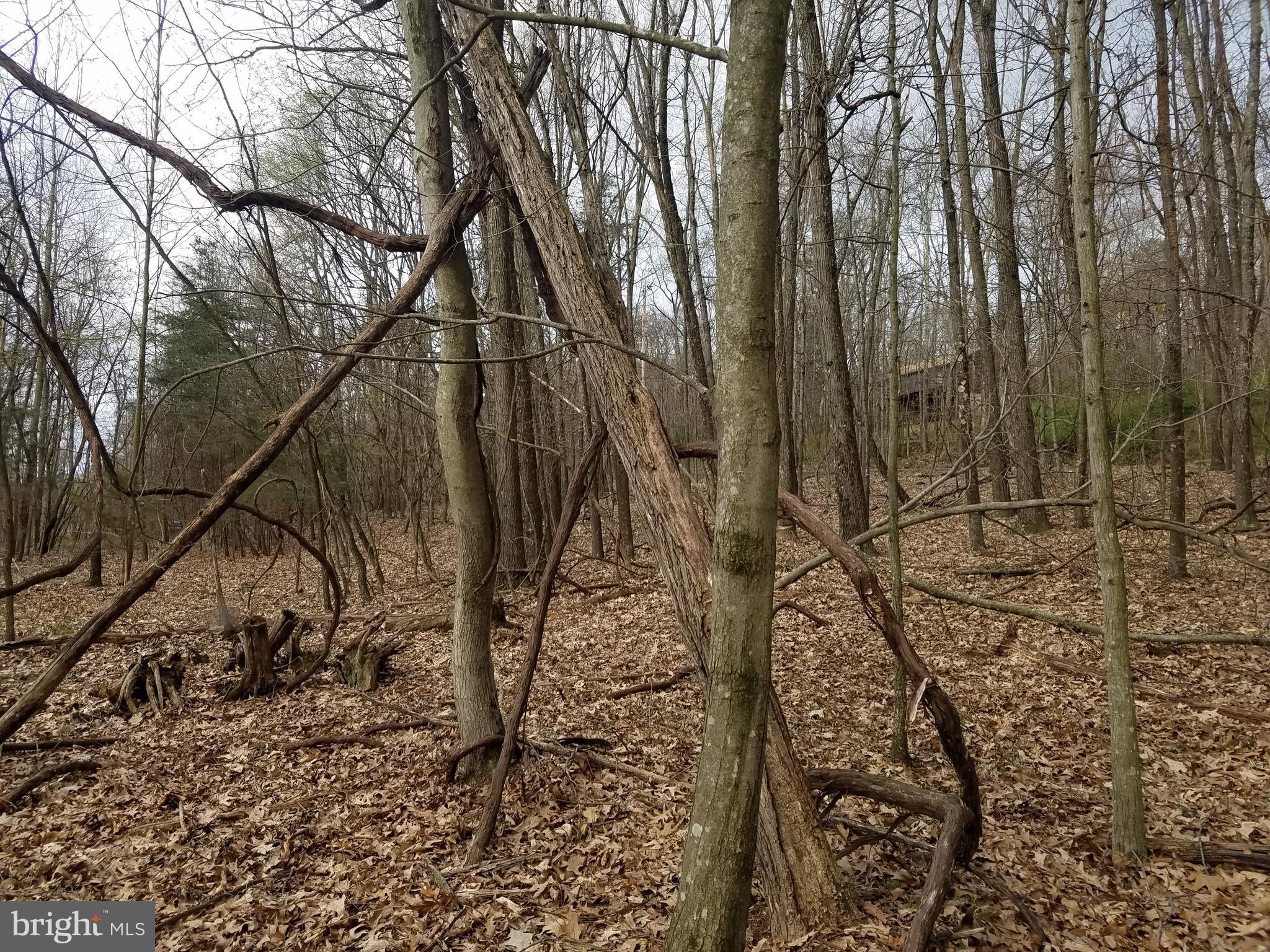 27 Anderson Ridge Wardensville, WV 26851 - Photo 9 of 21