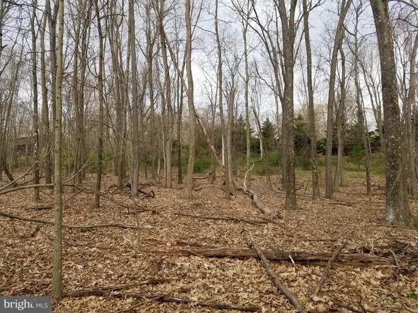 $14,800 | 27 Anderson Ridge, Wardensville, WV 26851