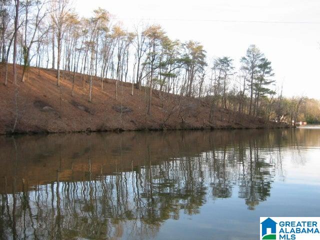 Taylors Ferry Road, Unit 12 Parrish, AL 35580 - Photo 3 of 4