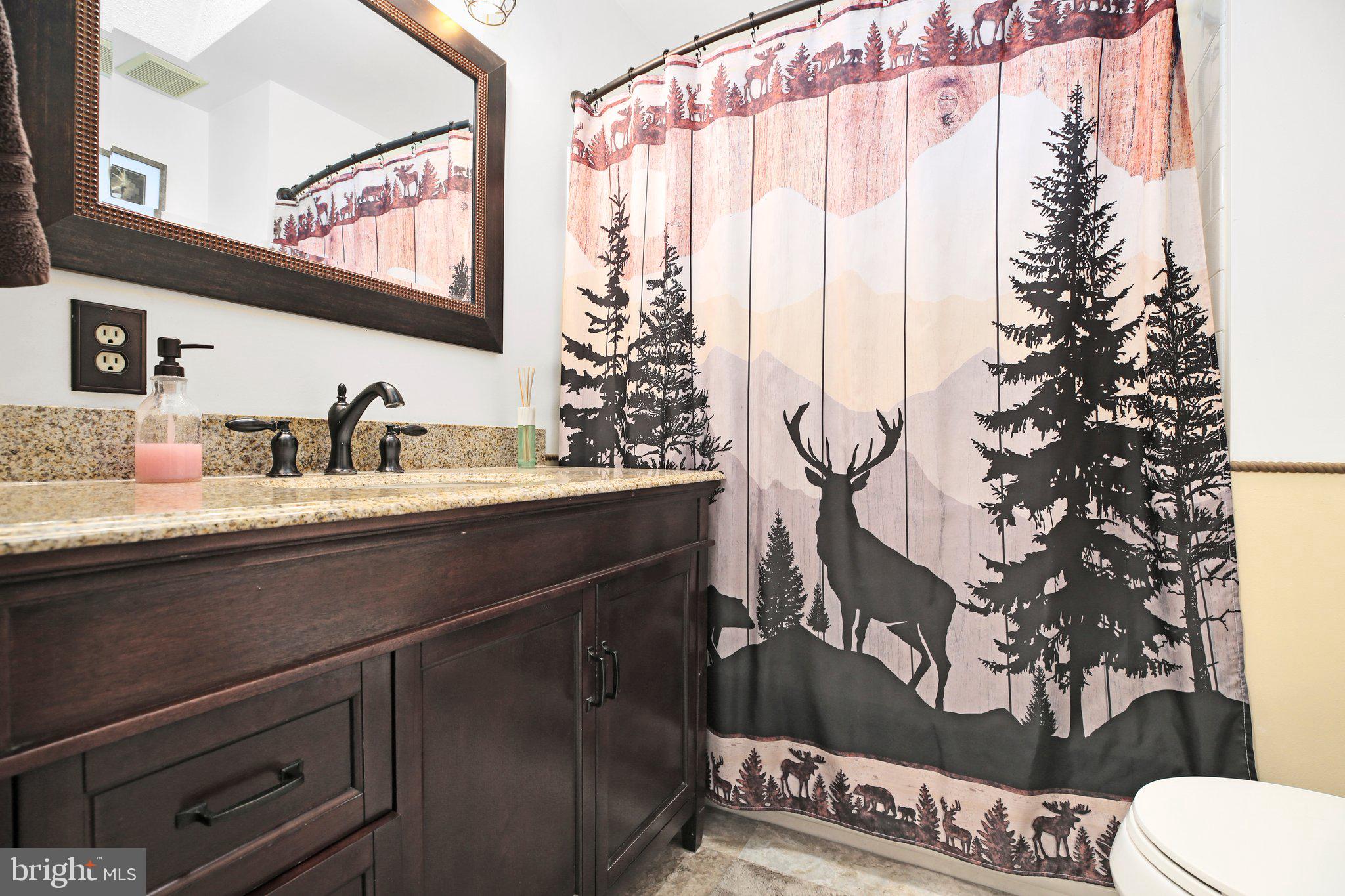 10831 Moore Drive Manassas, VA 20111 - Photo 33 of 52 a bathroom with a sink and mirror with toilet