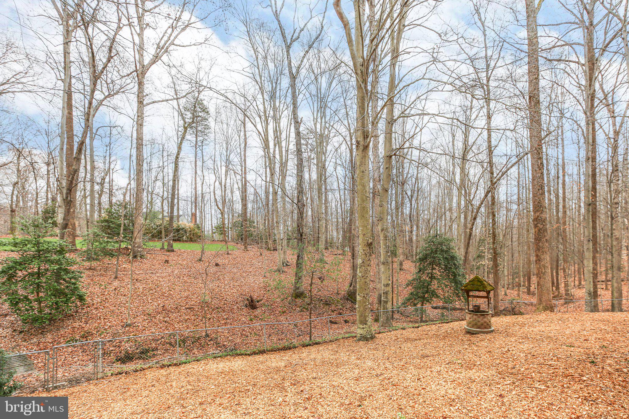 10831 Moore Drive Manassas, VA 20111 - Photo 44 of 52 a view of a backyard of the house