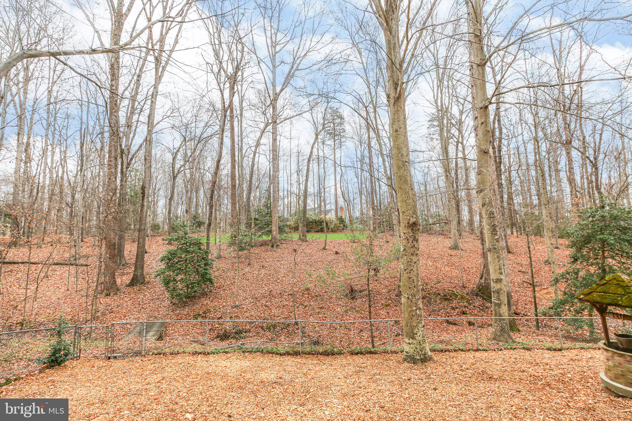 10831 Moore Drive Manassas, VA 20111 - Photo 45 of 52 a view of a backyard of the house