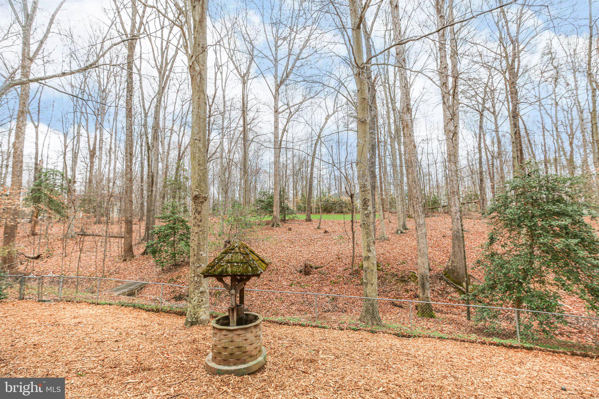 10831 Moore Drive Manassas, VA 20111 - Photo 46 of 52 a vase of flowers sitting on a floor