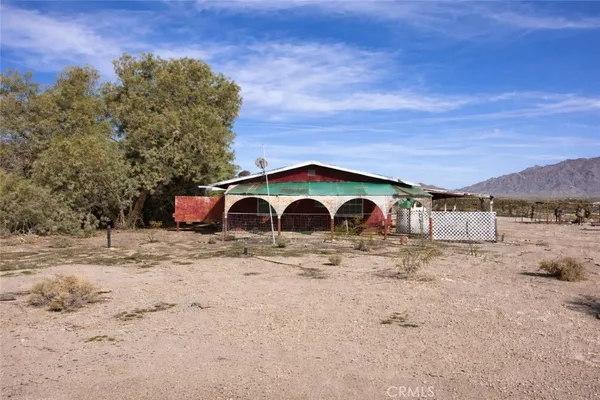 a view of a yard with a large tree
