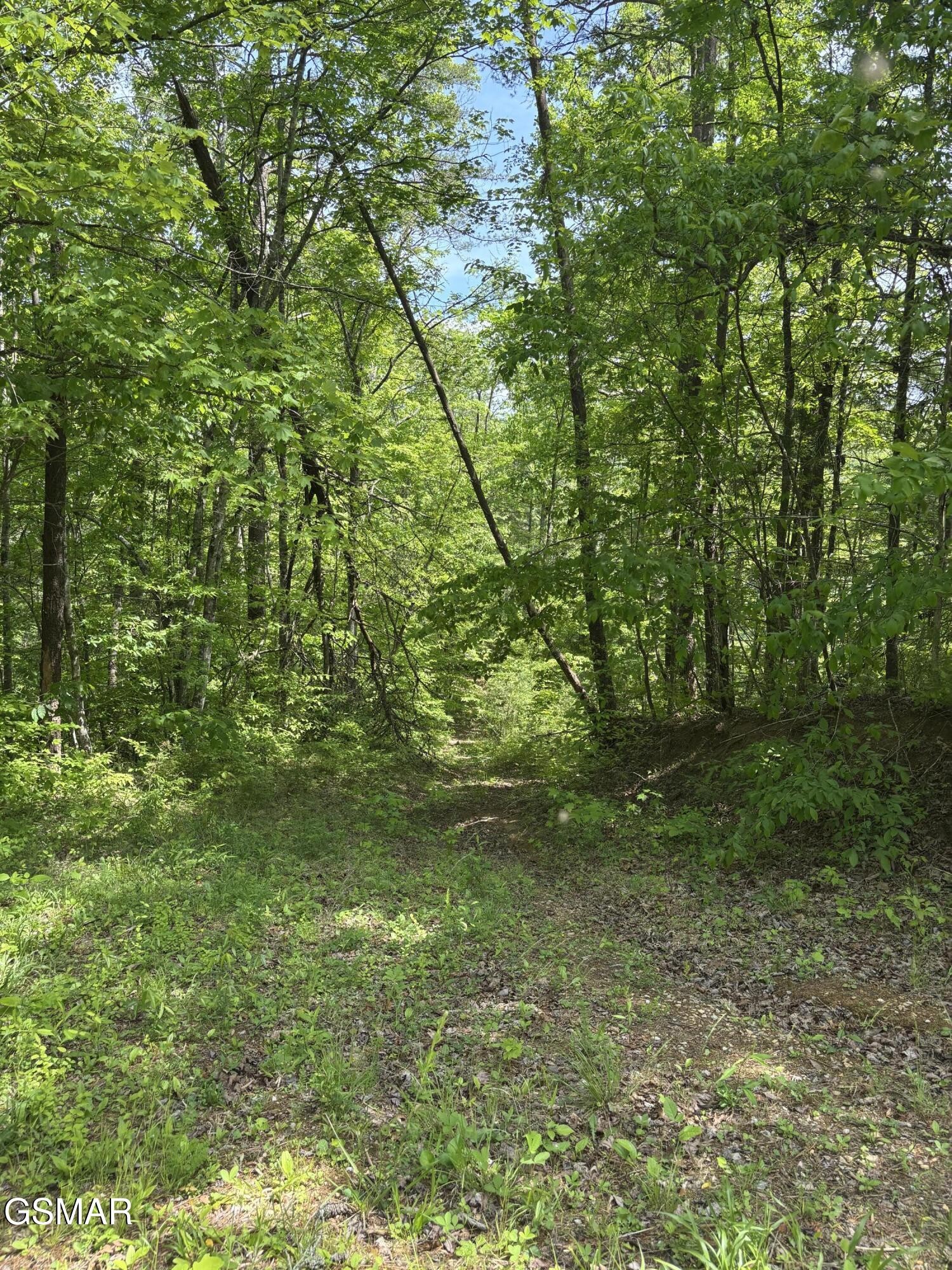 1450 Cabin Way Del Rio, TN 37727 - Photo 62 of 79 Gallery Image 62