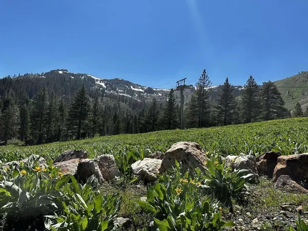 $375,000 | 970 Ward Creek Boulevard, Tahoe City, CA 96145