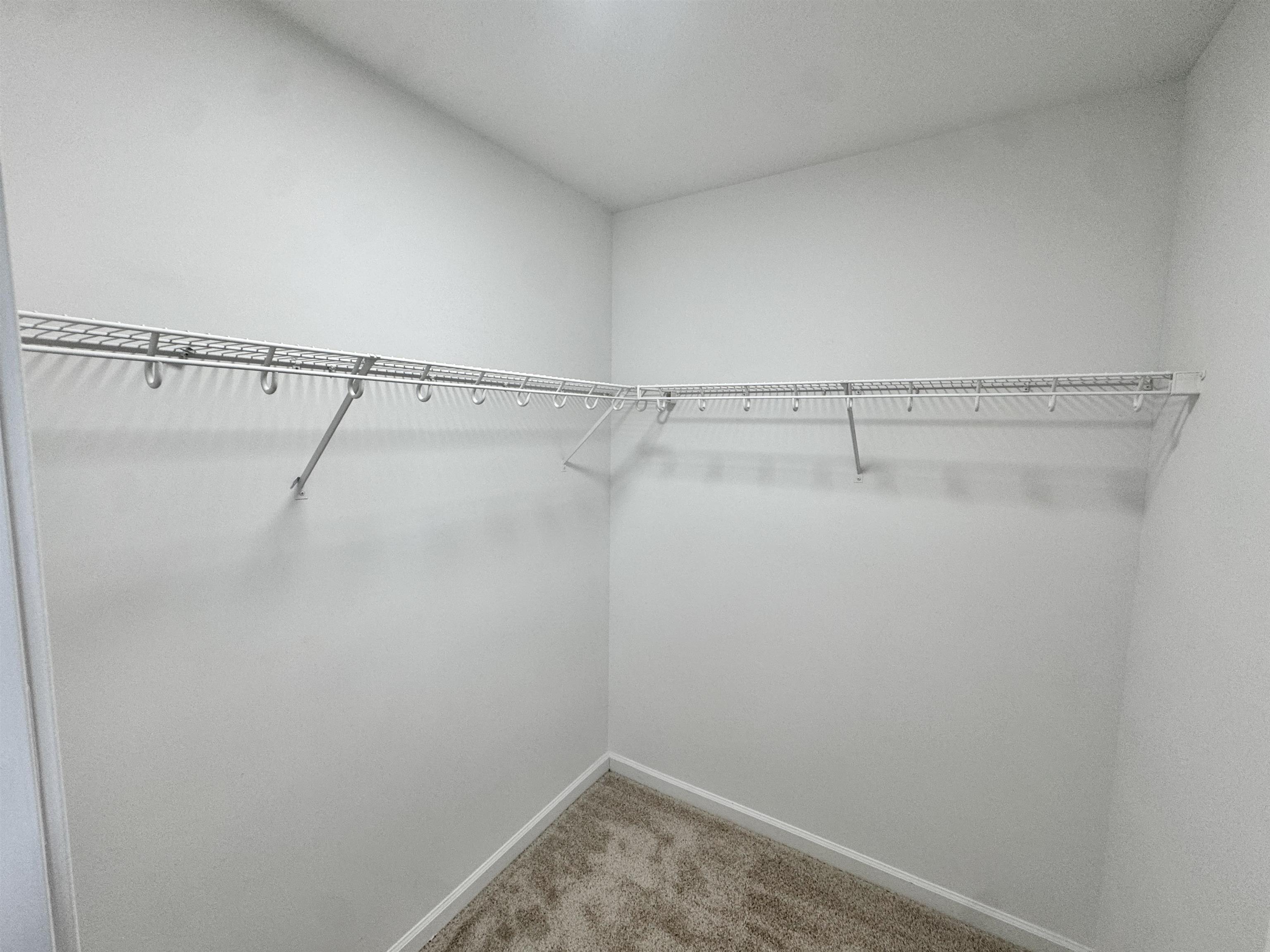 526 Stone Ridge Pinson, TN 38366 - Photo 14 of 39 Walk in closet with light carpet