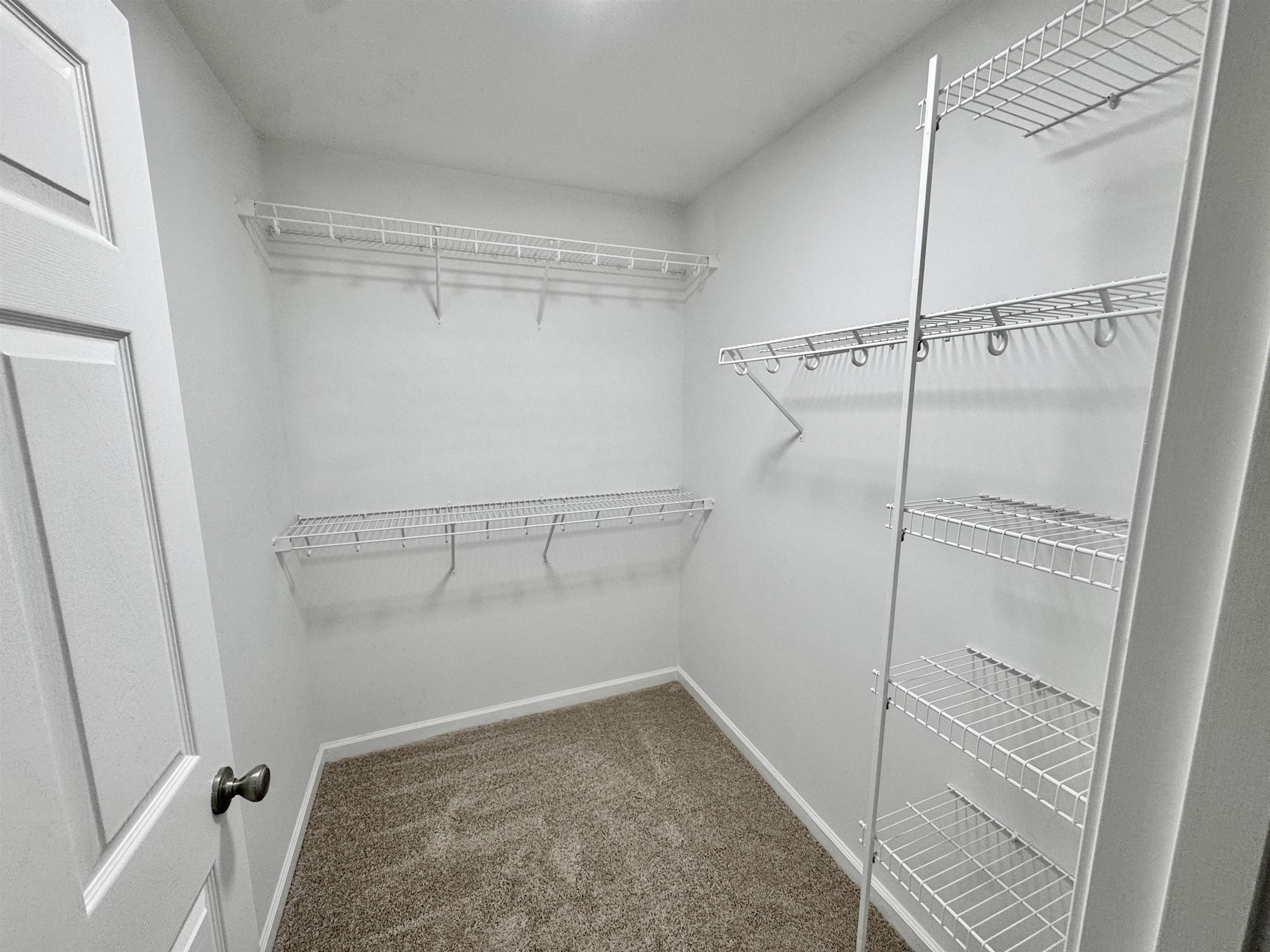 526 Stone Ridge Pinson, TN 38366 - Photo 15 of 39 Walk in closet with carpet