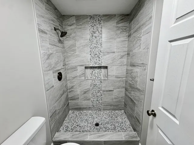 a bathroom with a shower and a toilet