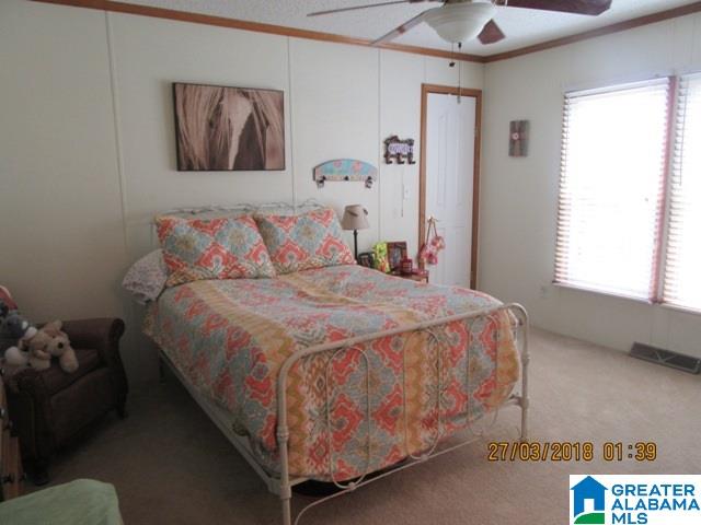 455 Francis Mill Road Ohatchee, AL 36271 - Photo 13 of 49