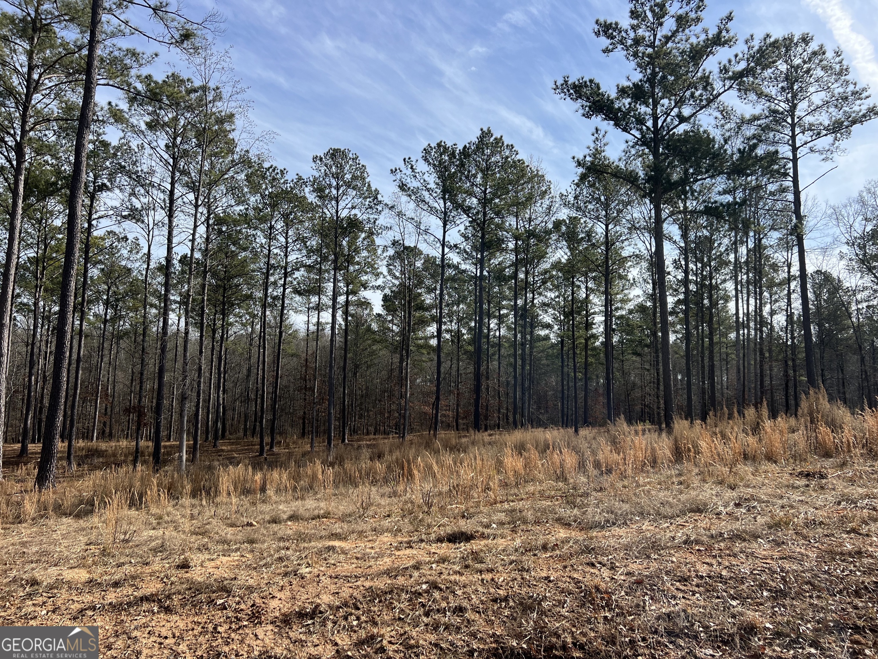 4 Bears Bend Moreland, GA 30259 - Photo 2 of 4 a view of a yard with large trees