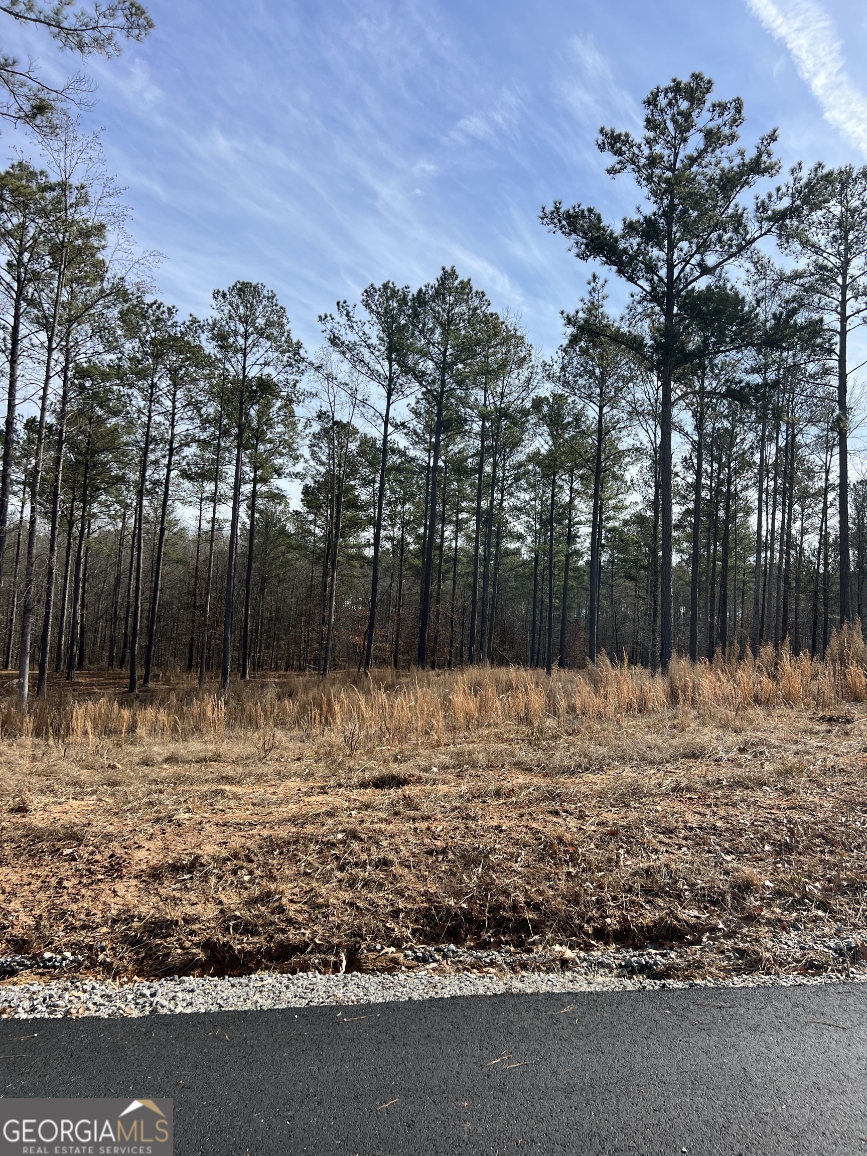 4 Bears Bend Moreland, GA 30259 - Photo 3 of 4 a view of a backyard of the house