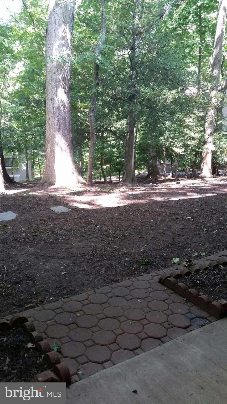 11727 Ledura Court, Unit T2 Reston, VA 20191 - Photo 18 of 18 a view of a yard with plants and trees