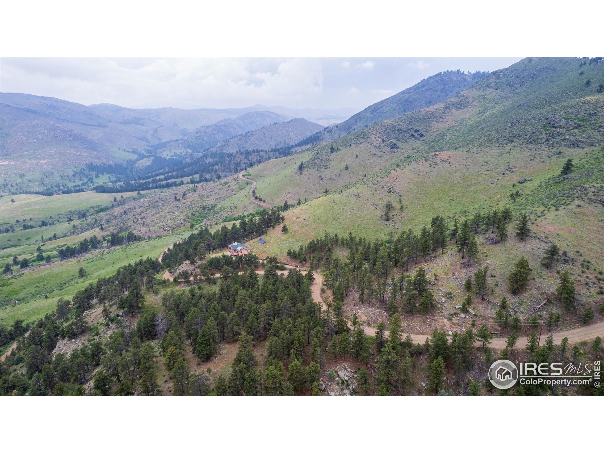 10435 Roan Mountain Road Bellvue, CO 80512 - Photo 34 of 40