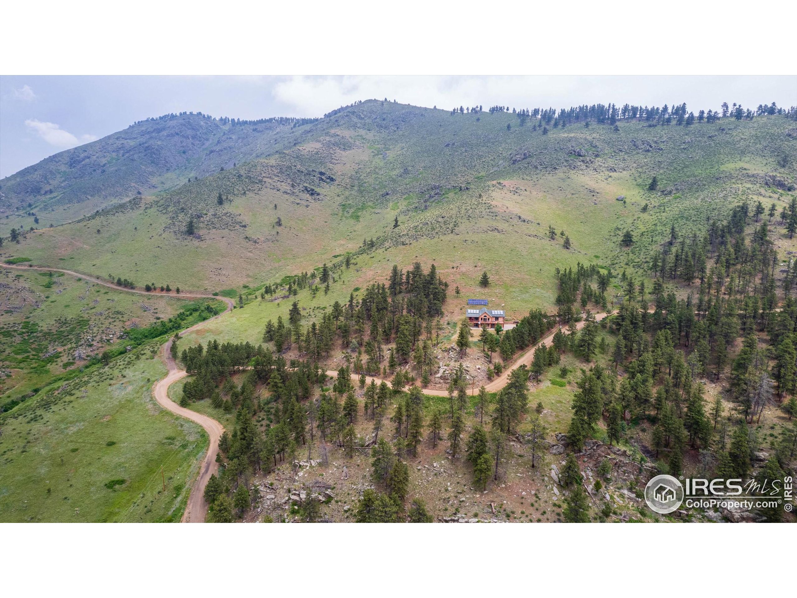 10435 Roan Mountain Road Bellvue, CO 80512 - Photo 37 of 40