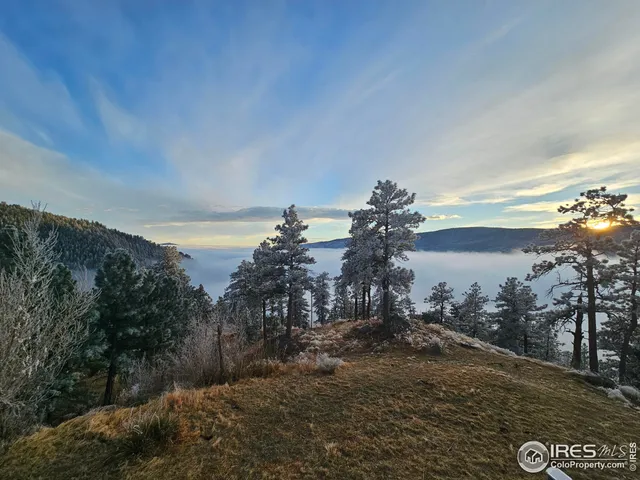 $875,000 | 10435 Roan Mountain Road, Bellvue, CO 80512