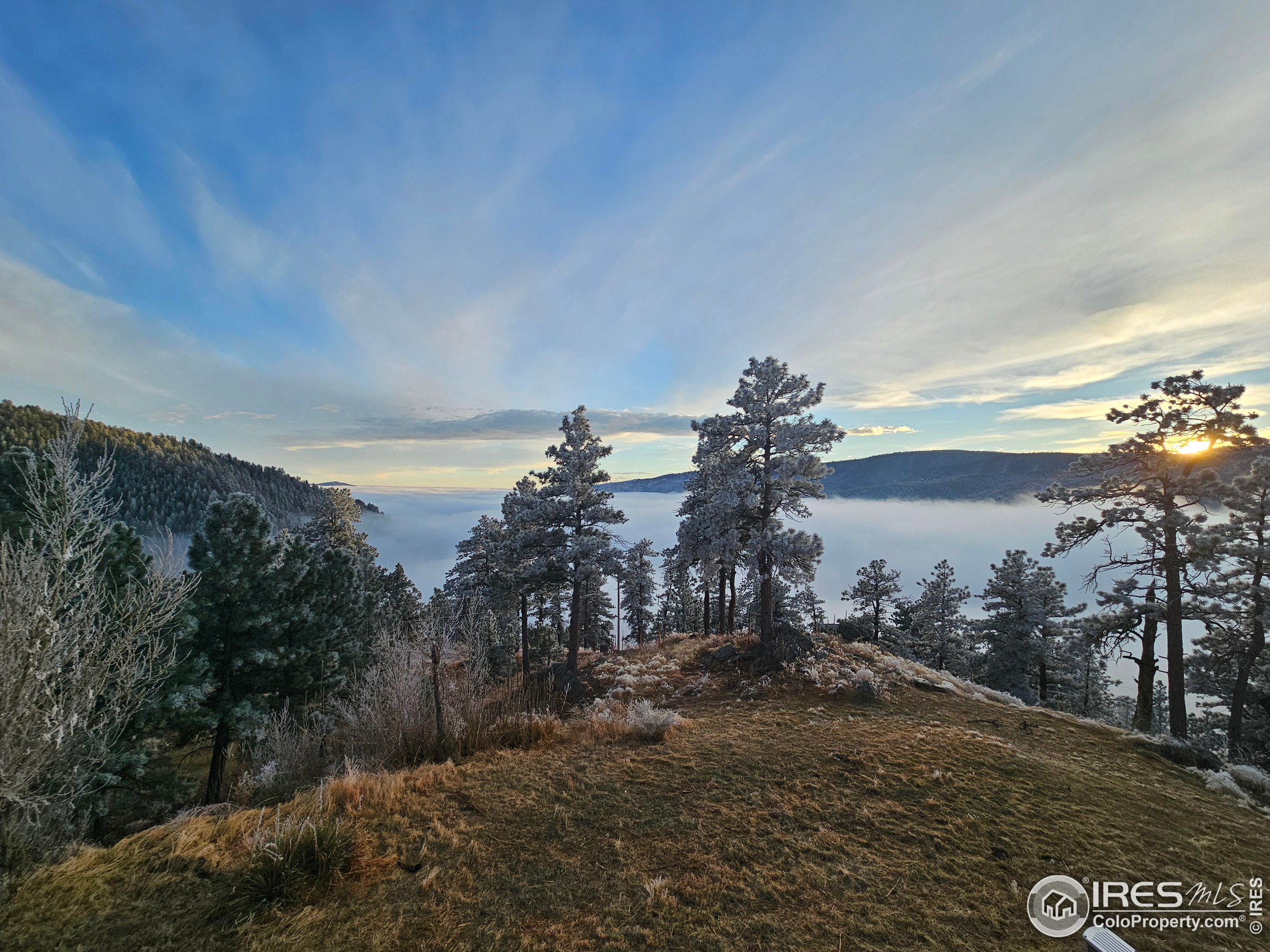10435 Roan Mountain Road Bellvue, CO 80512 - Photo 38 of 40