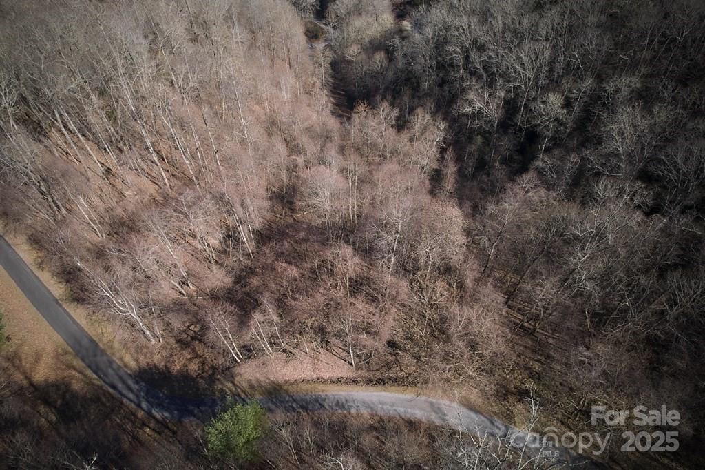 Lot 6 Freeman Overlook Overlook, Unit OVERLOOK Almond, NC 28702 - Photo 2 of 7 a view of a dry yard