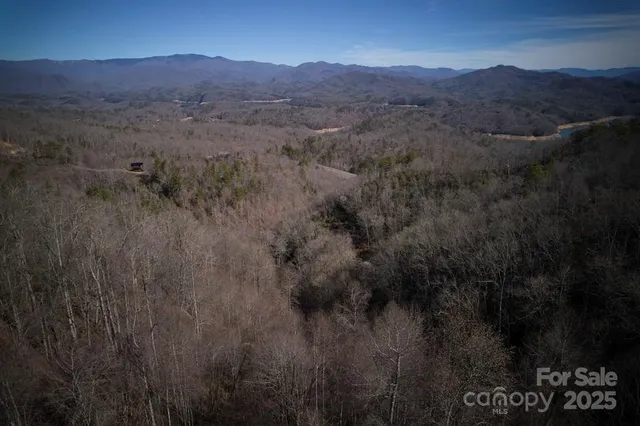 a view of a lush green forest with mountains in the background