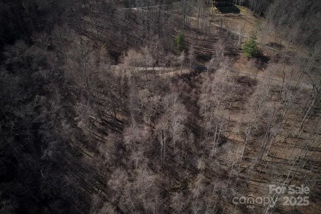 a view of a dry yard