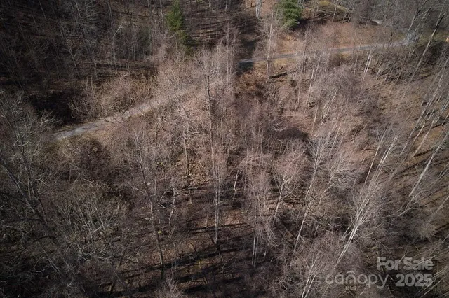 a view of a city with lush green forest