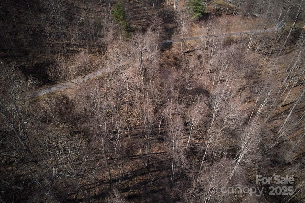 Lot 6 Freeman Overlook Overlook, Unit OVERLOOK Almond, NC 28702 - Photo 6 of 7 a view of a dry yard