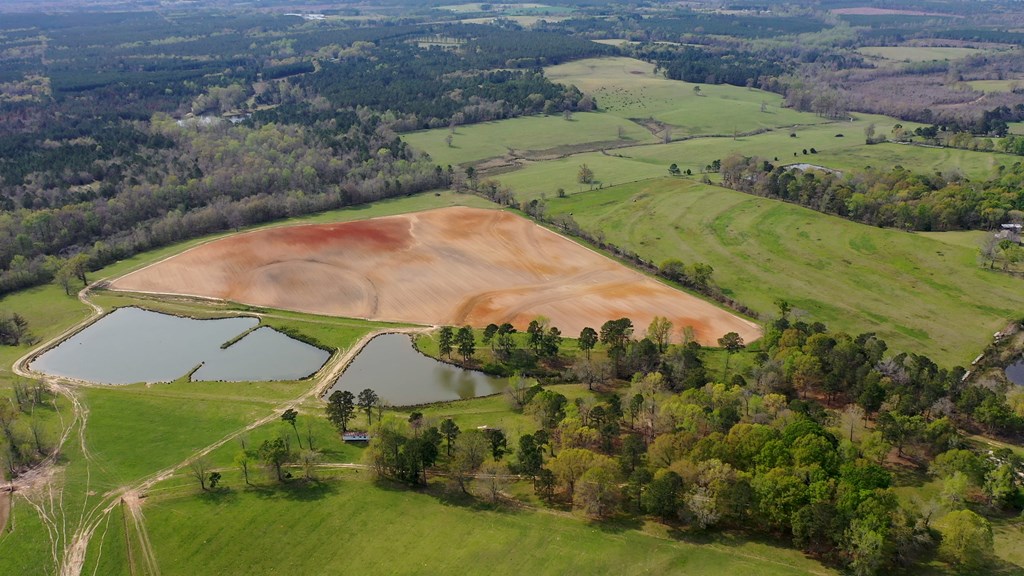 369 Bud Gary Road Clayton, AL 36016 - Photo 20 of 42