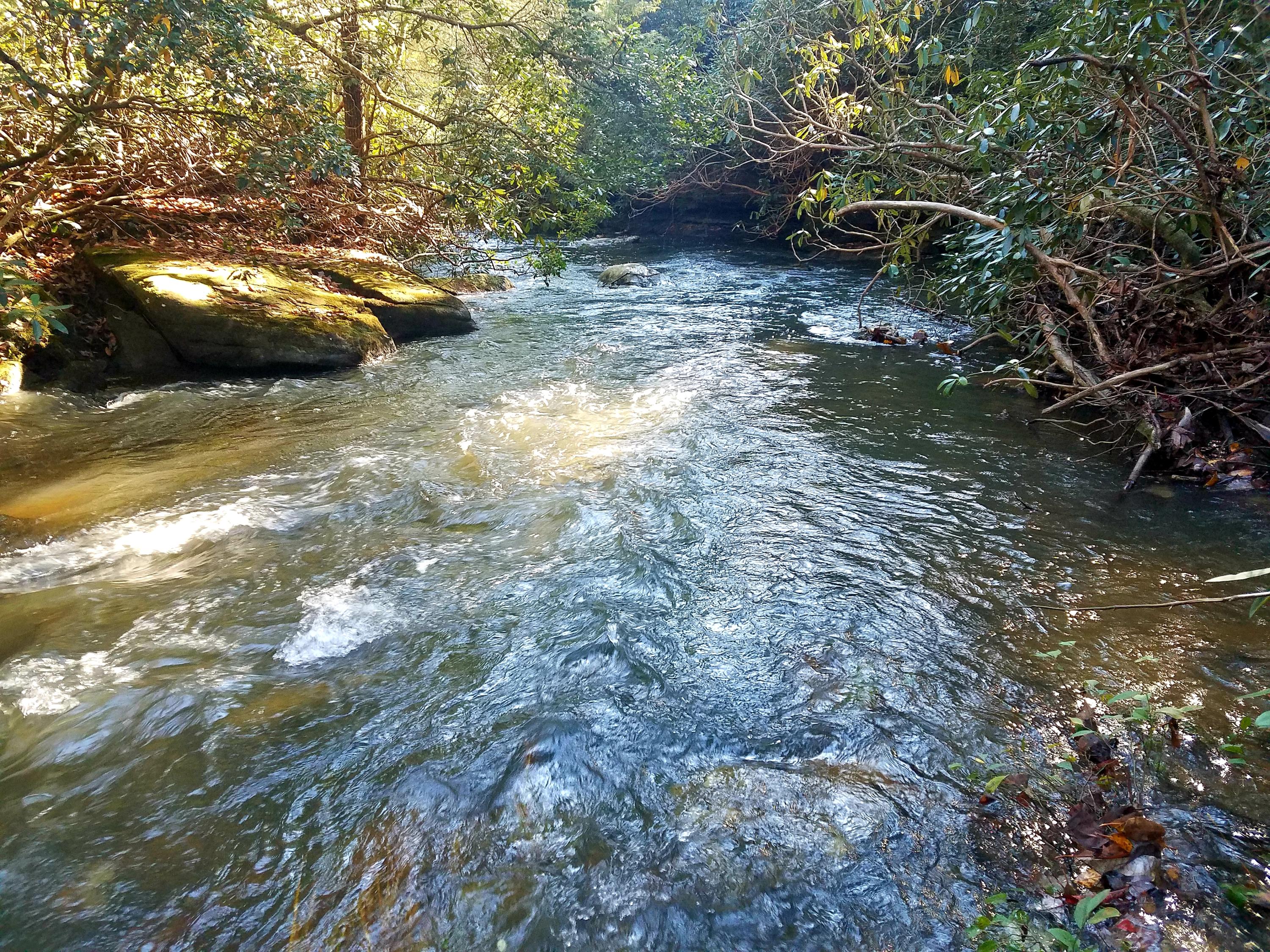 Browder Point, Unit 5 Monterey, TN 38574 - Photo 1 of 9 20181106_153958