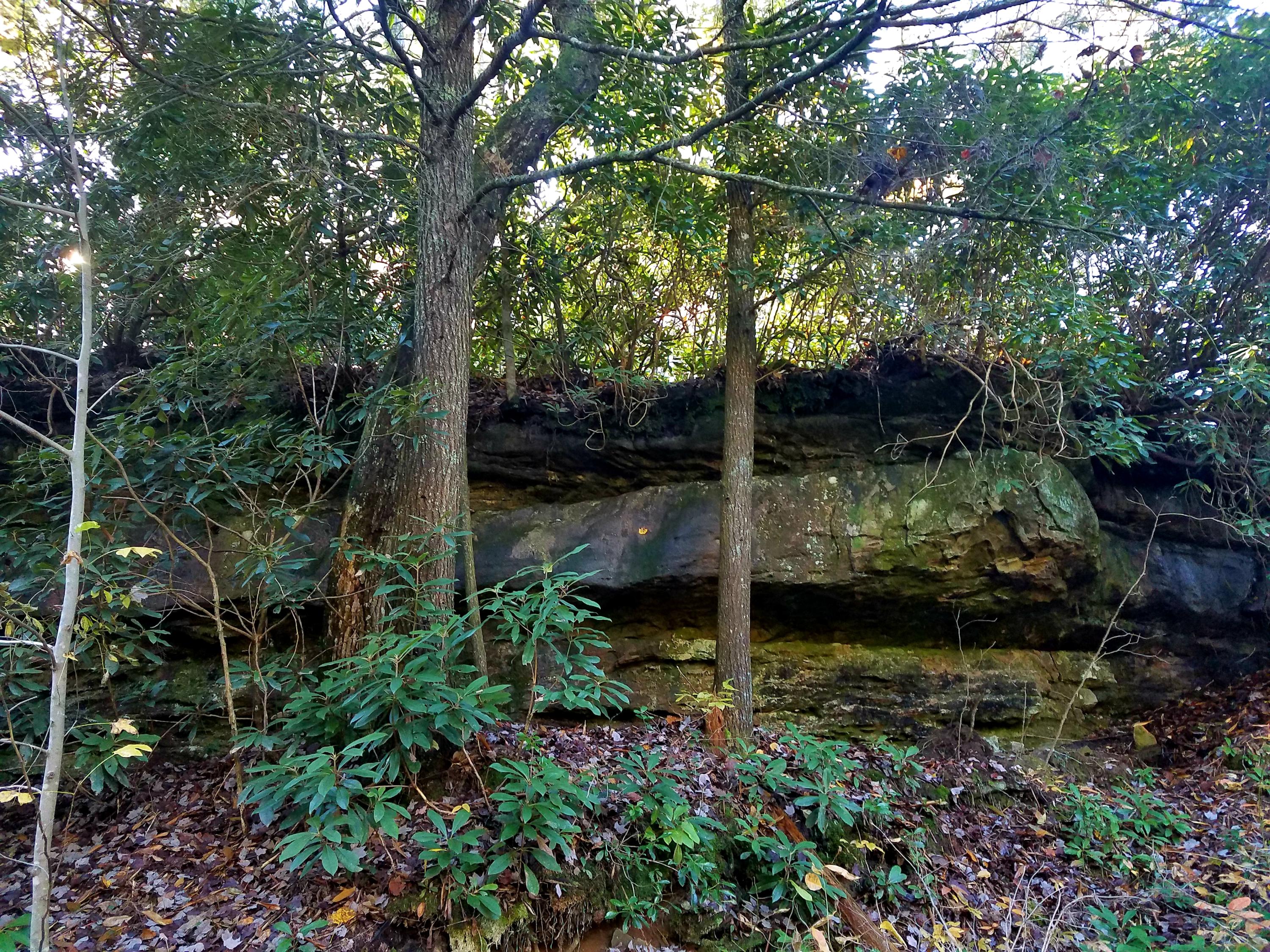 Browder Point, Unit 5 Monterey, TN 38574 - Photo 5 of 9 20181106_154724