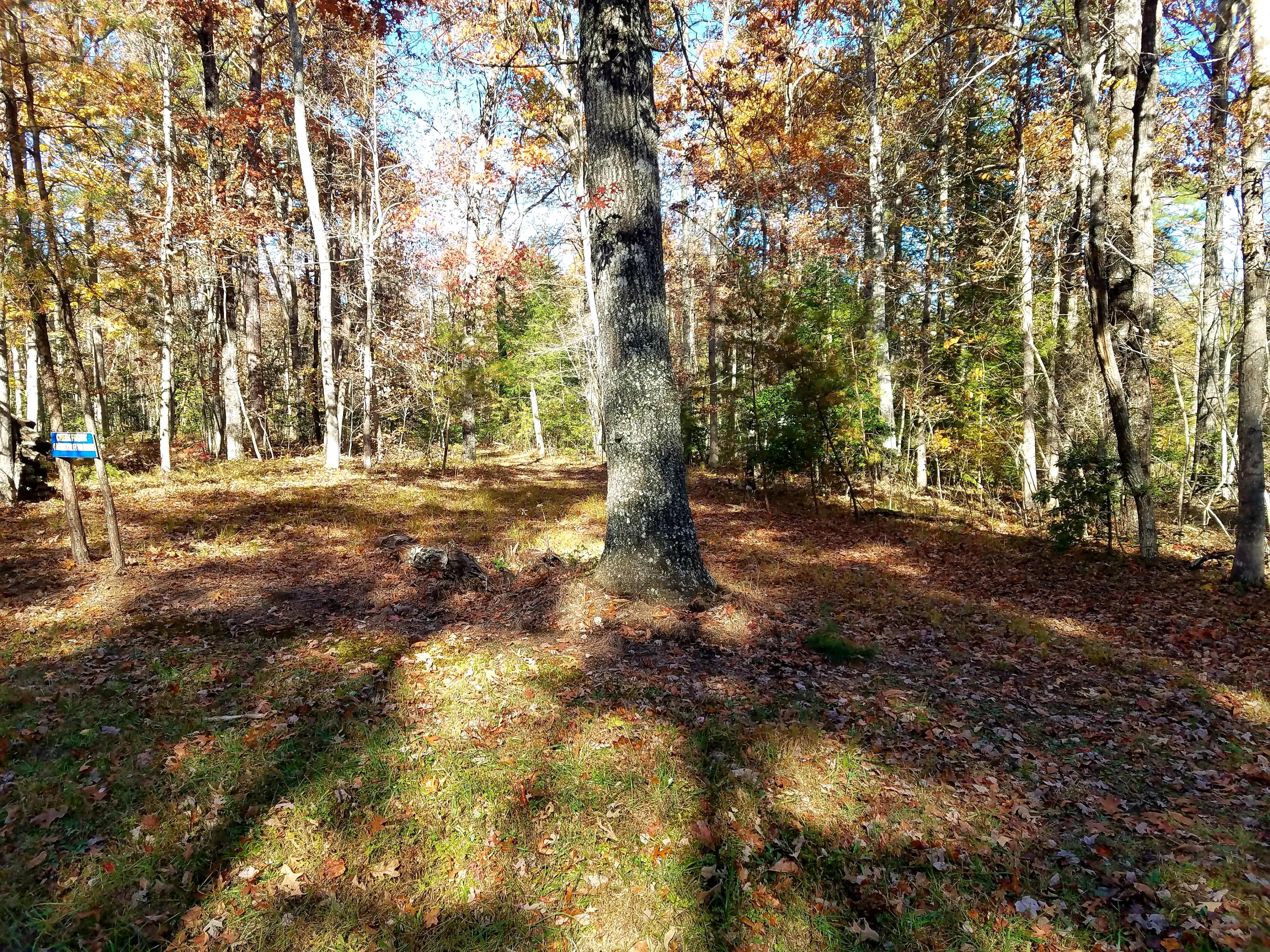 Browder Point, Unit 5 Monterey, TN 38574 - Photo 6 of 9 20181106_154650