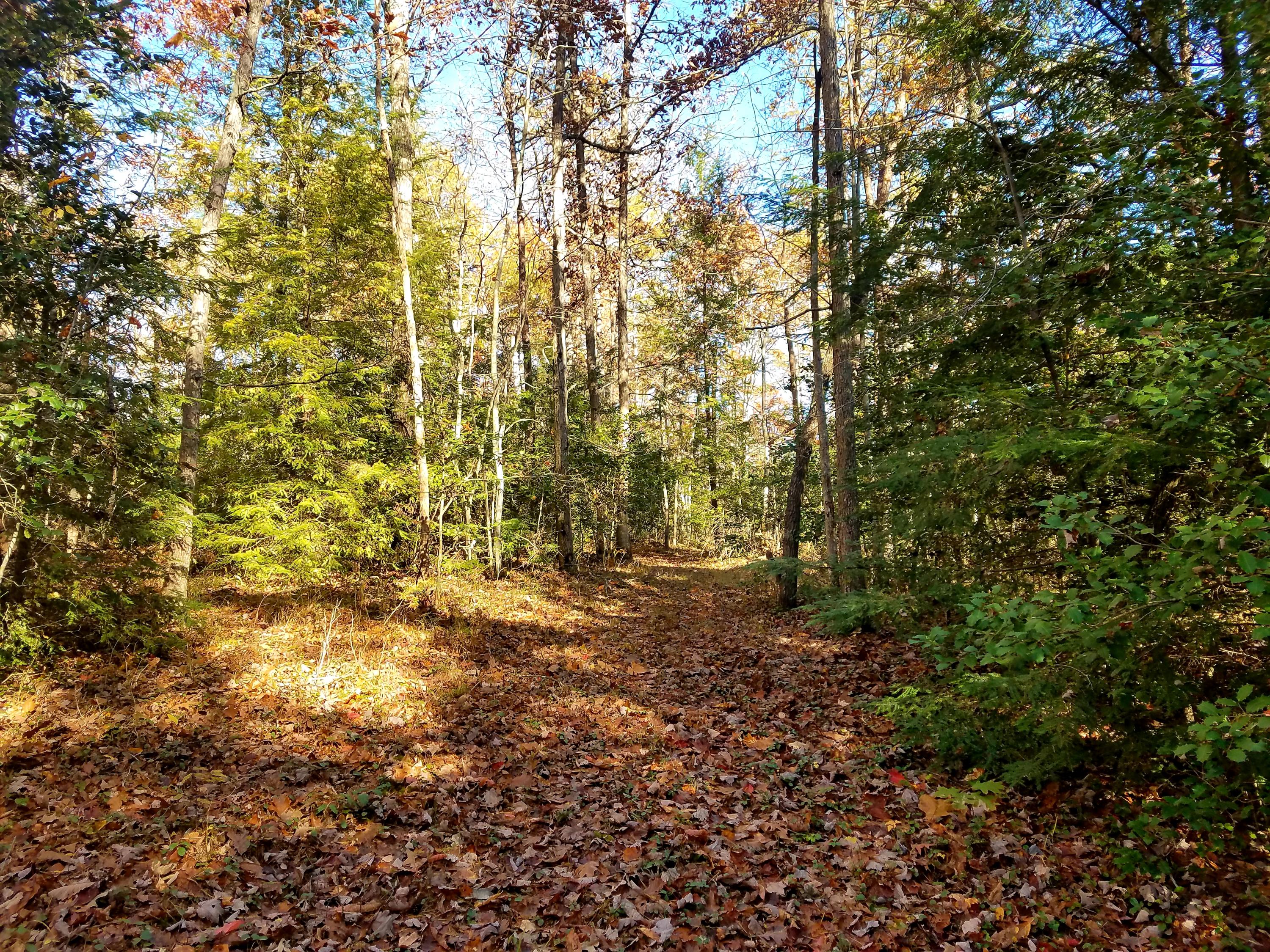 Browder Point, Unit 5 Monterey, TN 38574 - Photo 7 of 9 20181106_154500