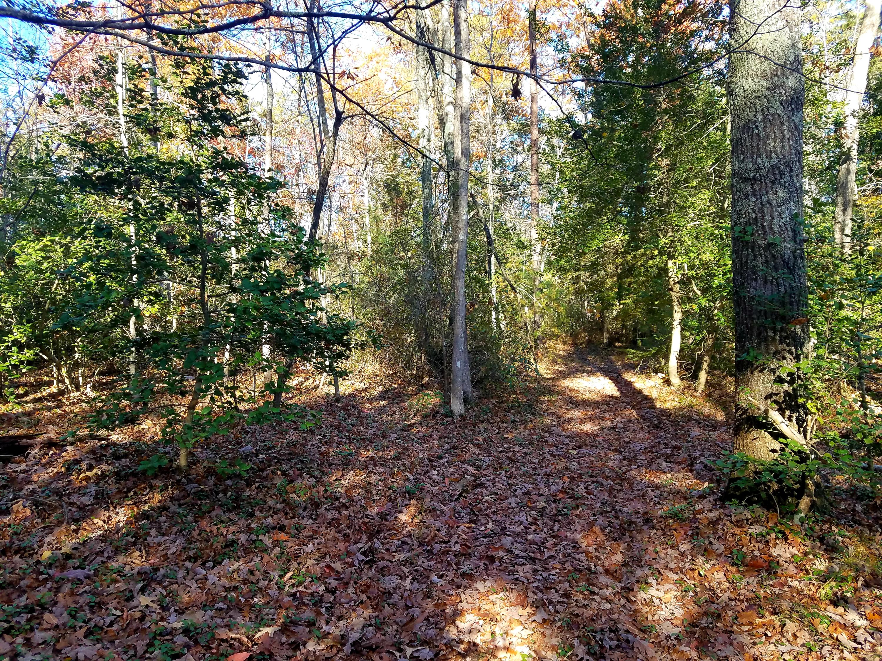 Browder Point, Unit 5 Monterey, TN 38574 - Photo 8 of 9 20181106_154617