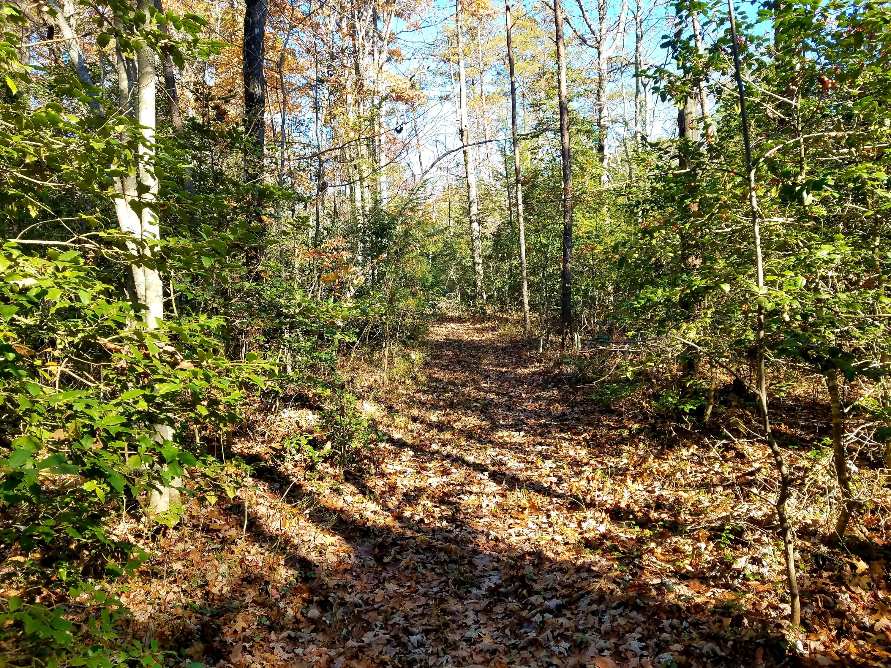 Browder Point, Unit 5 Monterey, TN 38574 - Photo 9 of 9 20181106_154538