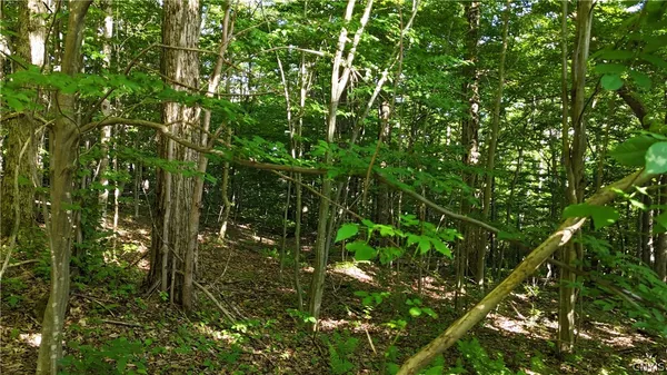 $339,900 | 1214 Highway 80, Georgetown, NY 13072
