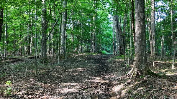 $339,900 | 1214 Highway 80, Georgetown, NY 13072