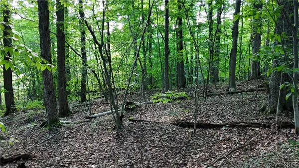 $339,900 | 1214 Highway 80, Georgetown, NY 13072