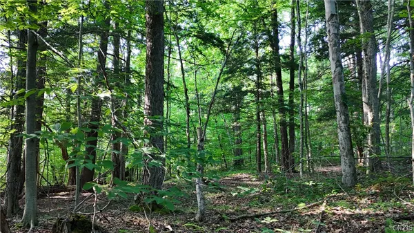 $339,900 | 1214 Highway 80, Georgetown, NY 13072