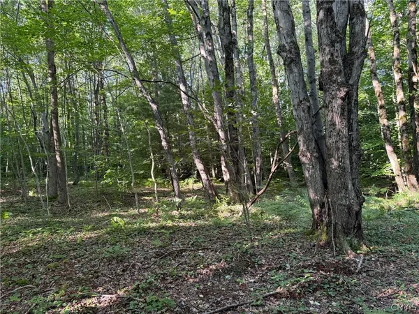 $339,900 | 1214 Highway 80, Georgetown, NY 13072