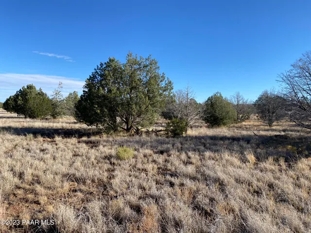 $13,000 | 3160 West Mesa Drive, Williams, AZ 86046