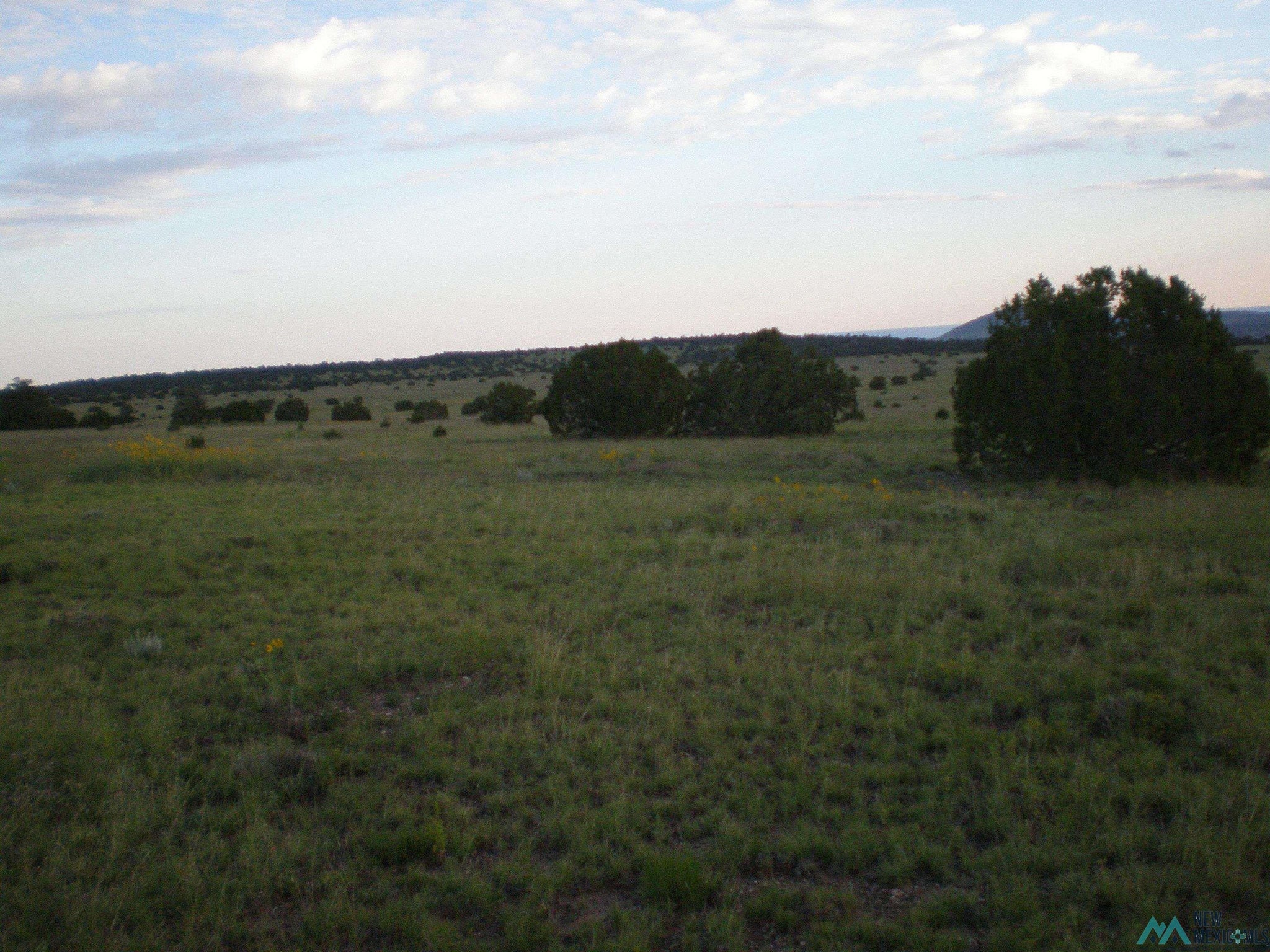 51 Hide Away Road Quemado, NM 87829 - Photo 8 of 9 Gallery Image 8
