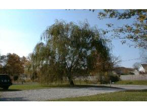3350 North Hartstrait Road Bloomington, IN 47404 - Photo 10 of 10
