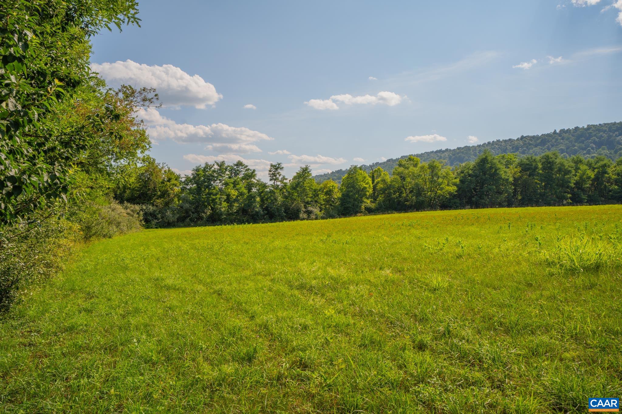 Tbd Frog Hollow Road North Winchester, VA 22603 - Photo 15 of 49 Gallery Image 15