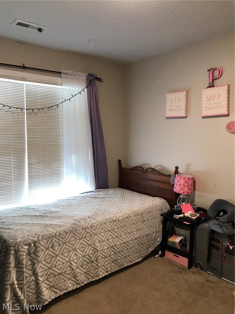 707 Wood Ridge Road Geneva, OH 44041 - Photo 14 of 14