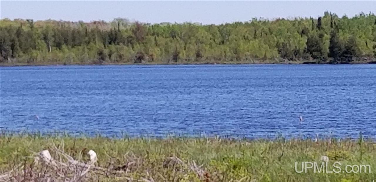 Tbd Kelly Road Gulliver, MI 49840 - Photo 19 of 20 Gallery Image 19