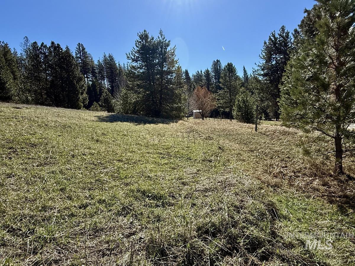 Ptn Lot 7 Packer John Road Cascade, ID 83611 - Photo 13 of 16